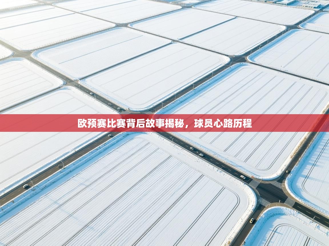 欧预赛比赛背后故事揭秘，球员心路历程  第1张