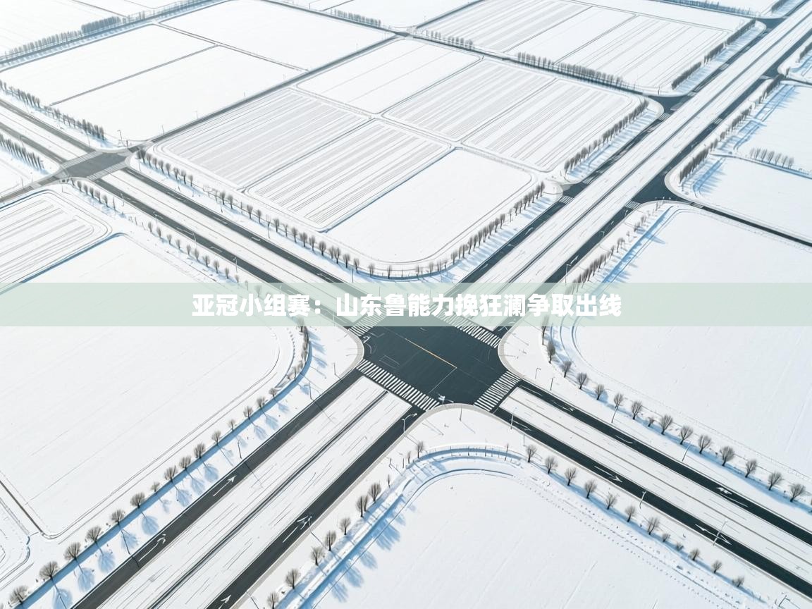 亚冠小组赛:山东鲁能力挽狂澜争取出线 第1张