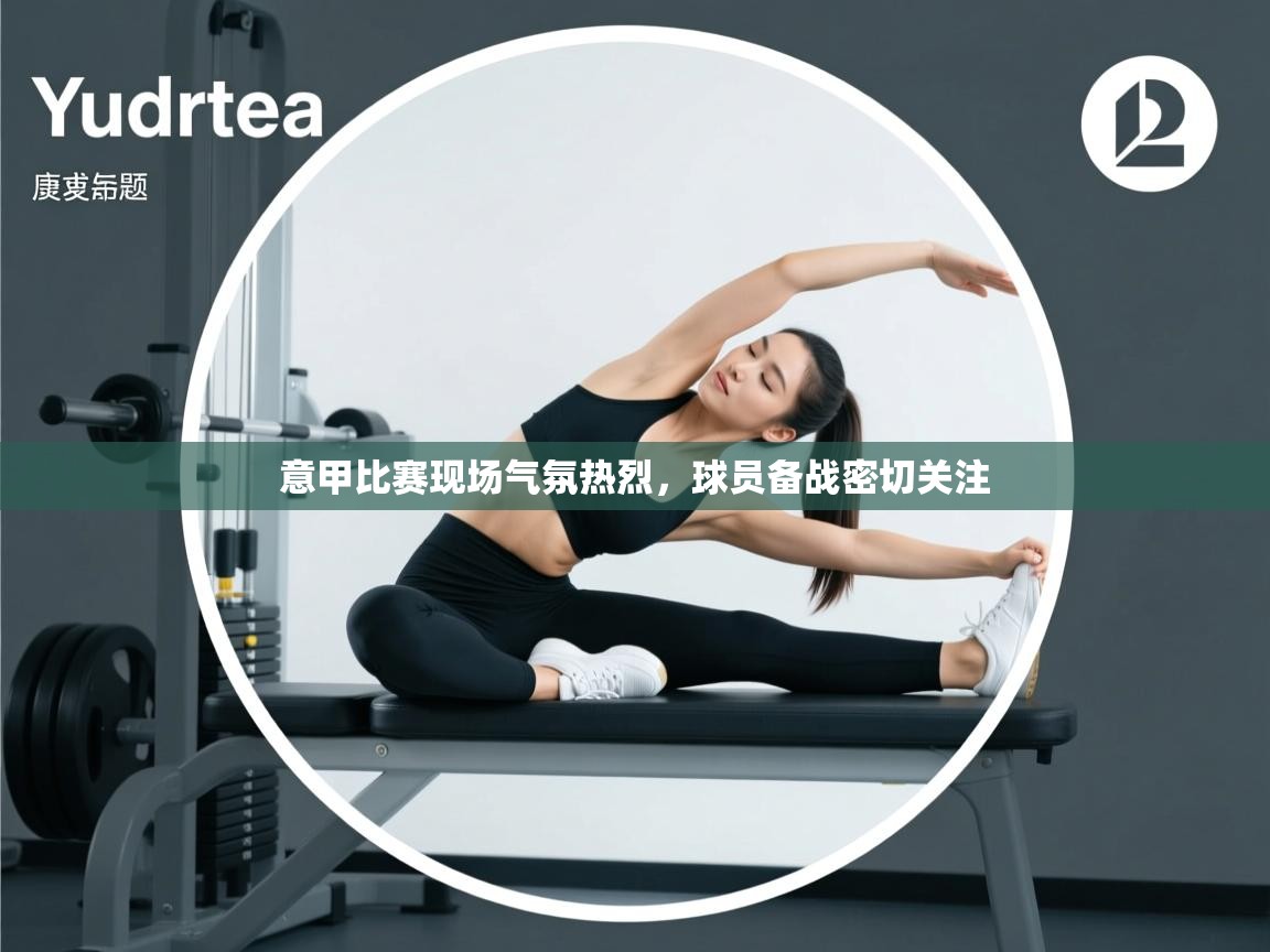 意甲比赛现场气氛热烈,球员备战密切关注 第1张