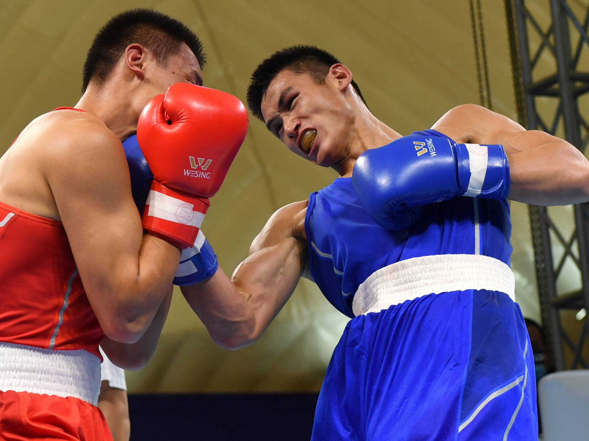 关于瑞典男子拳击选手力压群雄，笑纳金牌的信息